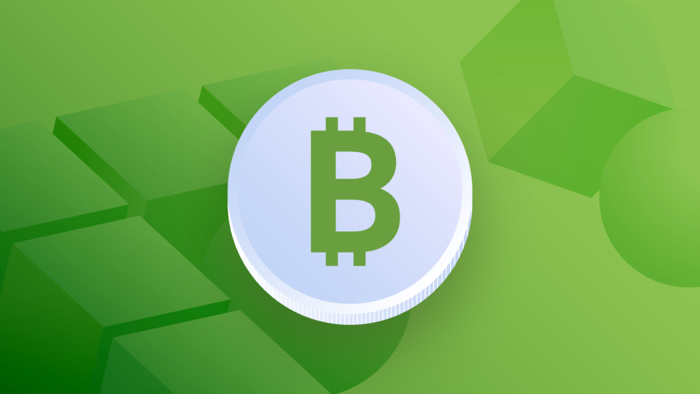 What is Bitcoin Cash?